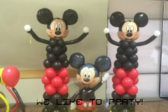 Mickey Party~Amherst Community Hall