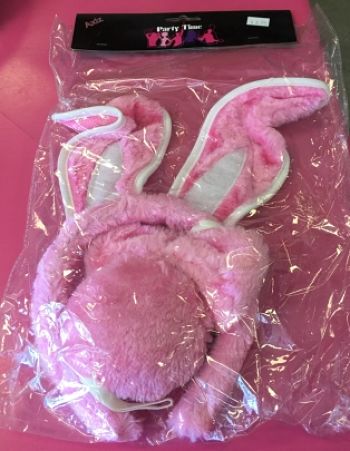 We Like To Party Bunny Costume Set Pink