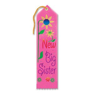 We Like To Party Baby Shower Party Supplies New Big Sister Ribbon