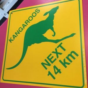 We Like To Party Australiana Party Supplies & Decorations Kangaroo Cutout
