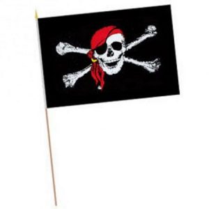We Like To Party Pirate Party Supplies & Decorations