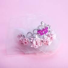 We Like To Party Hens Night Flashing Bride To Be Tiara And Veil With Pink Roses