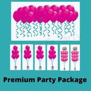 We Like To Party Premium Party Balloon Package