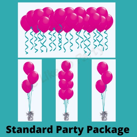 We Like To Party Standard Party Balloon Package