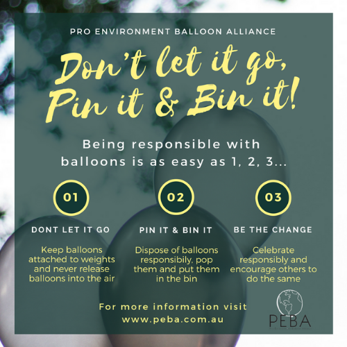 We Like To Party Don't Let It Go Balloon Policy Poster